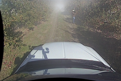 Human Detection Examples